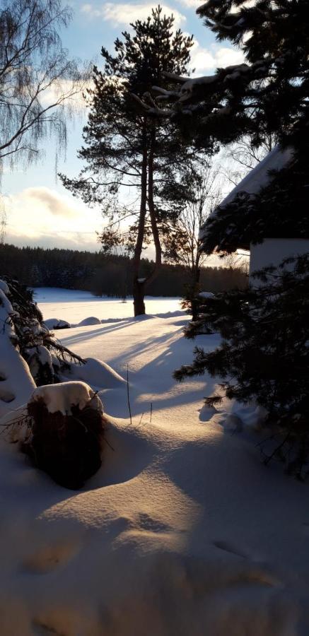 Apartman Jafi Lipno Nad Vltavou Zewnętrze zdjęcie