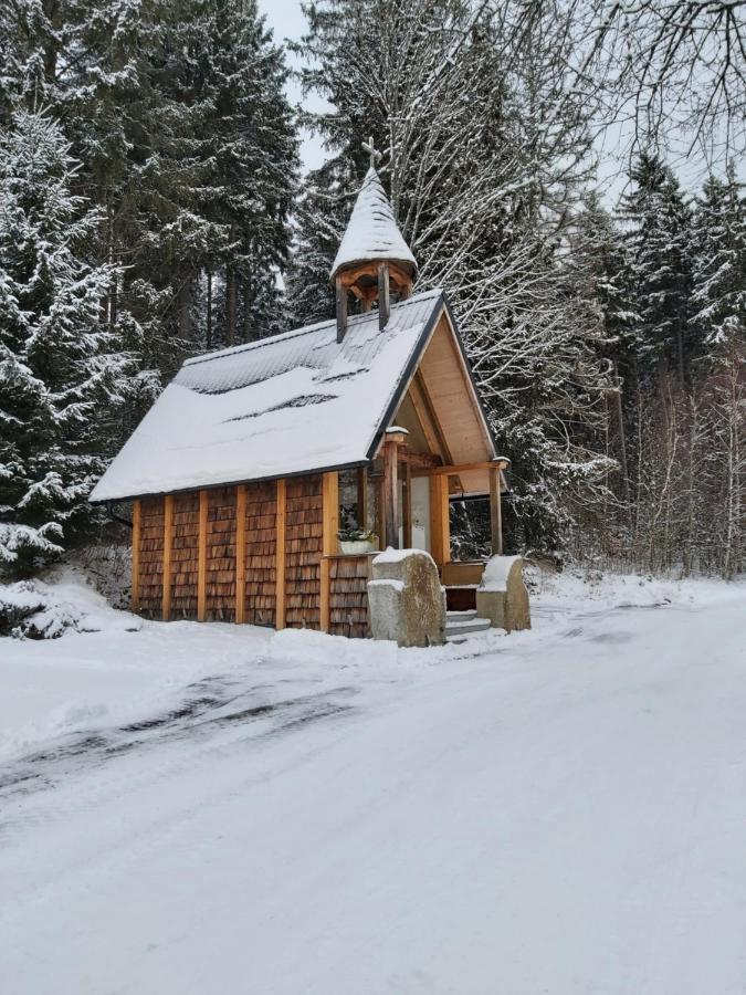Apartman Jafi Lipno Nad Vltavou Zewnętrze zdjęcie